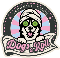 Logo Dog & Roll - Profesjonalny groomer Katowice